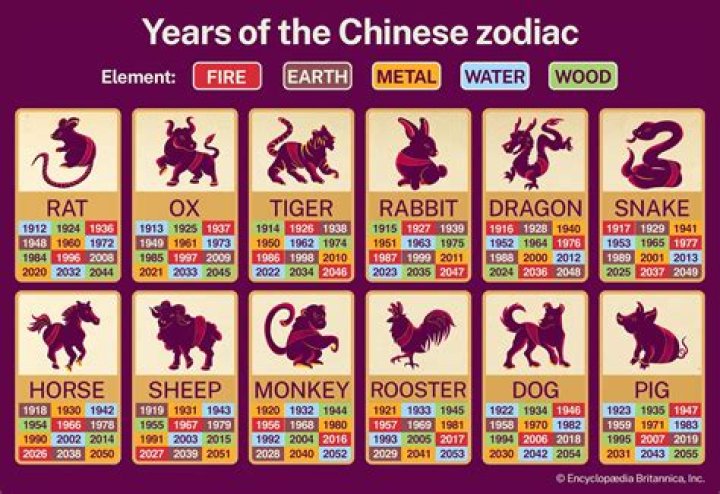 1985 Chinese Zodiac Element: Discovering the Wood Snake and Its Influence
