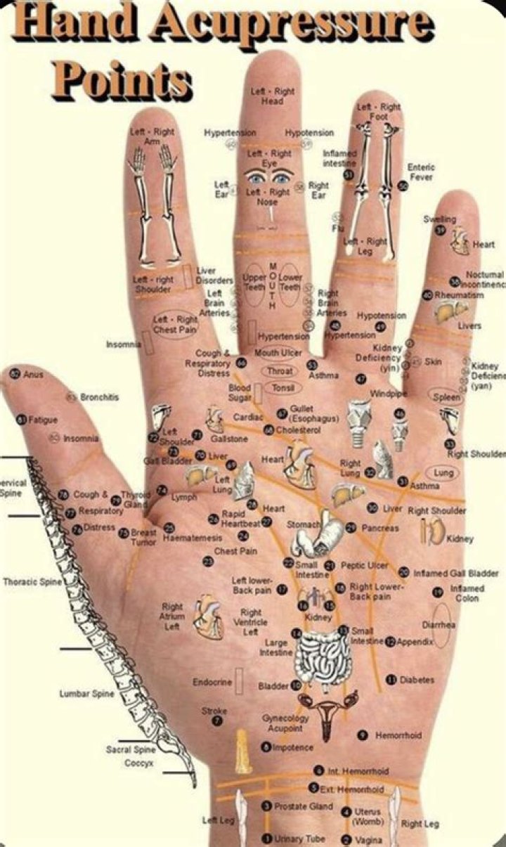 Acupressure Map: The Ultimate Guide to Unlocking Your Body's Healing Power