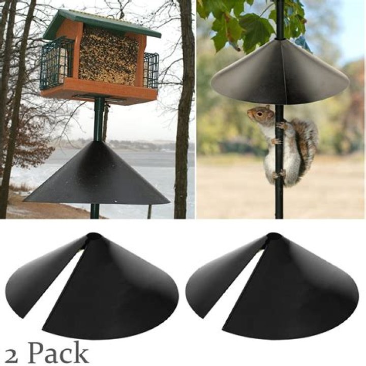 Baffle for Bird Feeder: Your Ultimate Guide to Protecting Your Feeder