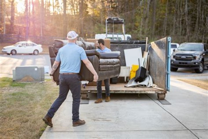 Best Mold Removal Companies Near Me: Your Ultimate Guide to Professional Services