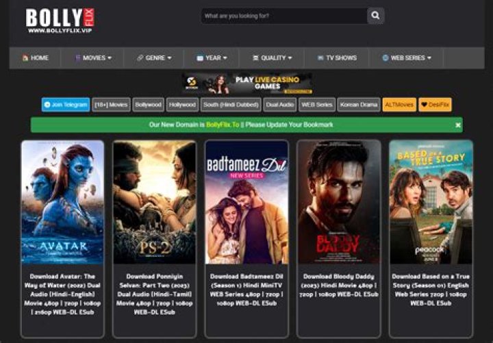 Bollyflix Netflix Movies: Your Ultimate Guide to Streaming Bollywood Films