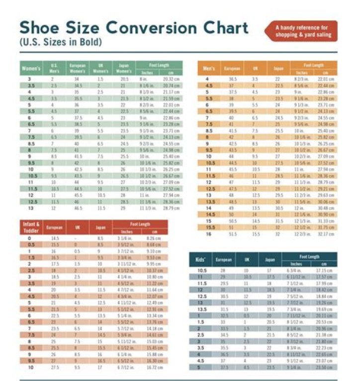 Camilla Size 1 Conversion: A Comprehensive Guide to Understanding and Implementing