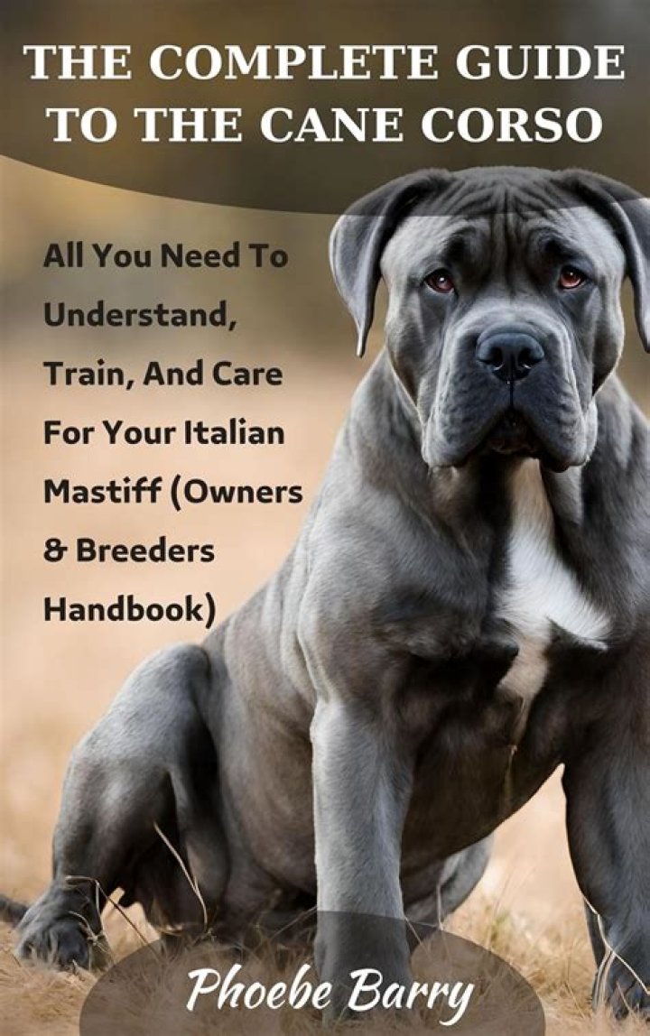 Dog Breeds: The Ultimate Guide to Understanding and Caring for Your Beloved Companion