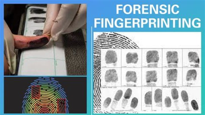 For Girl One Fingerprint: The Ultimate Guide to Uniqueness and Identity