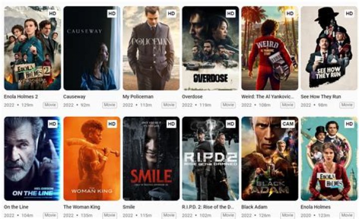 HDHub4u South: The Ultimate Guide to Streaming and Downloading Movies