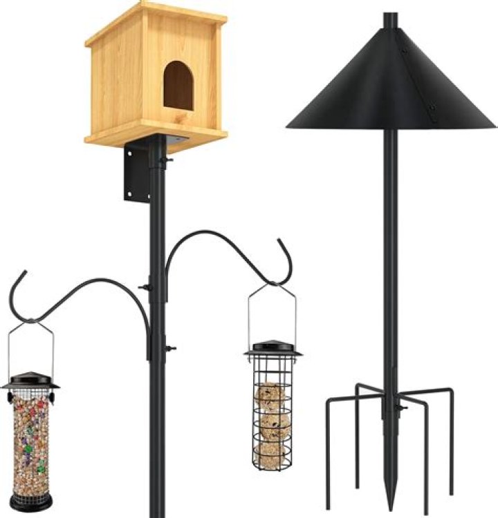 Heavy Duty Bird Feeder Pole: The Ultimate Guide for Bird Enthusiasts