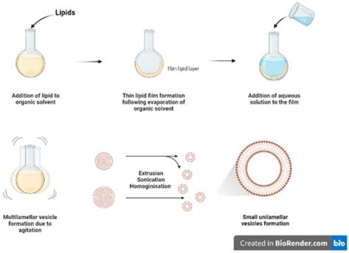 IndianMMS: Exploring the Phenomenon and Its Implications