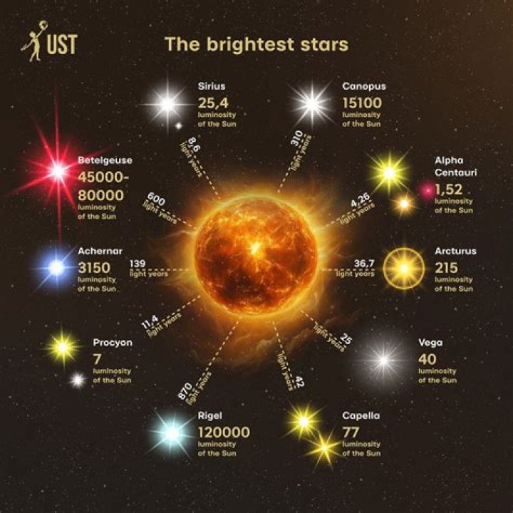 Johanna Braddy: The Rising Star of Hollywood's Brightest Constellations