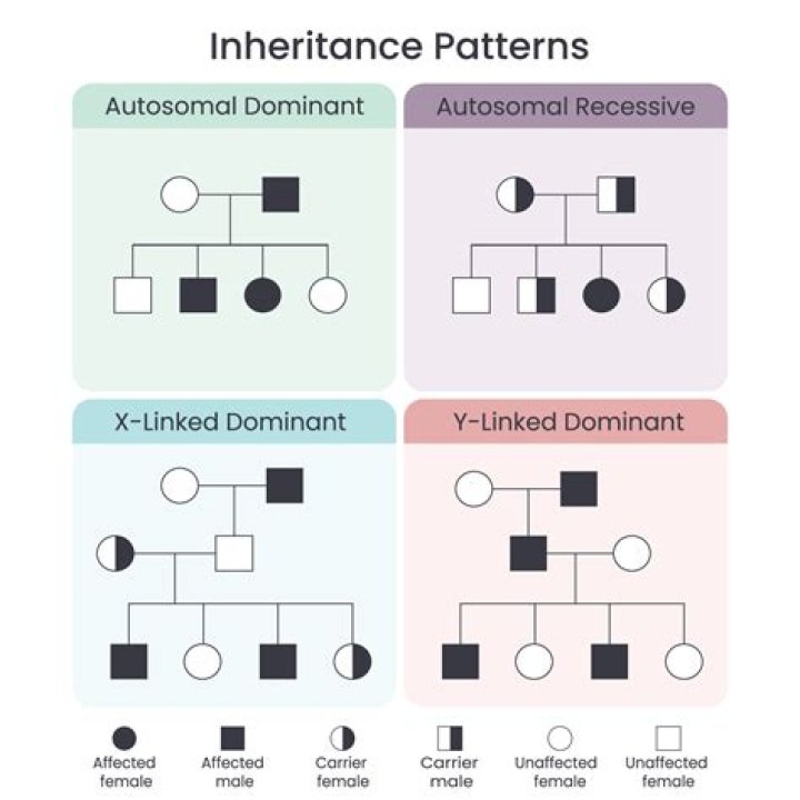 Kat Timpf Inheritance: A Comprehensive Exploration