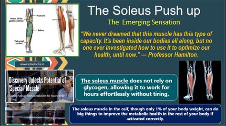 Sone&mdash;525: Unveiling the Mysteries Behind This Emerging Sensation