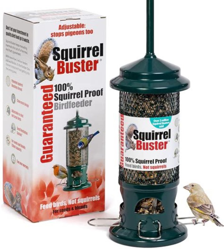 Squirrel Buster Bird Feeders: The Ultimate Guide for Bird Enthusiasts