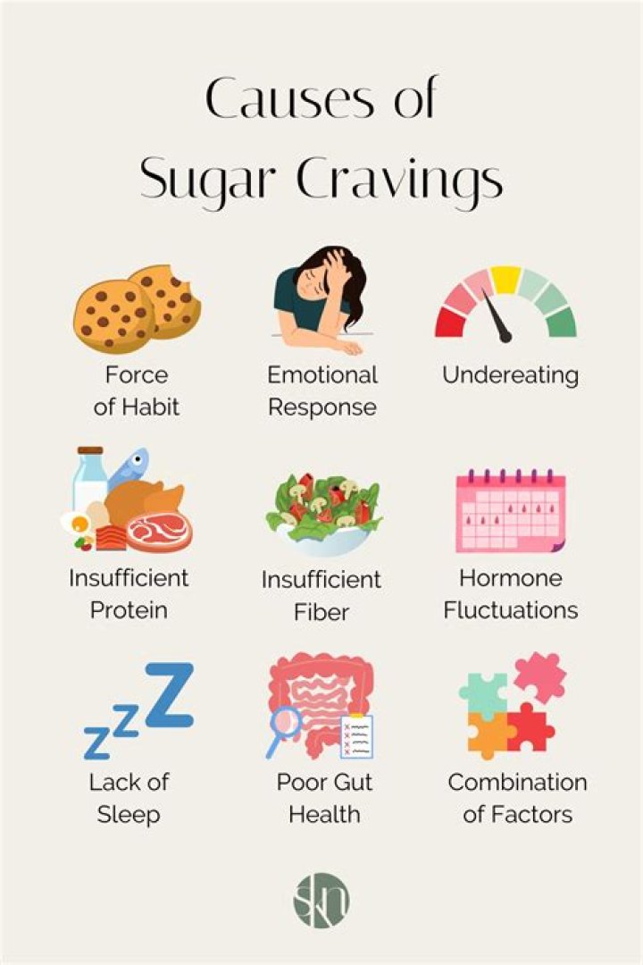 Temporary Replacement for 3 Hungry: The Ultimate Guide to Satisfying Your Cravings